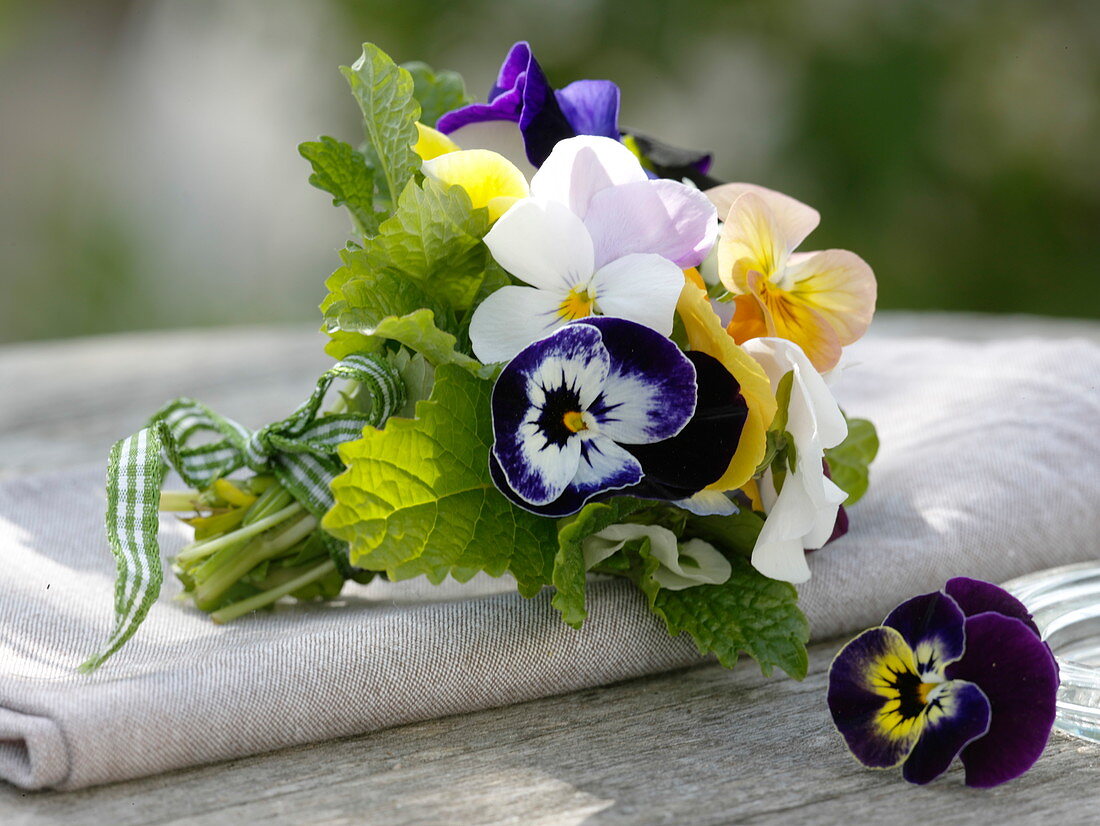 Small posy of viola cornuta (horned violet) and leaves