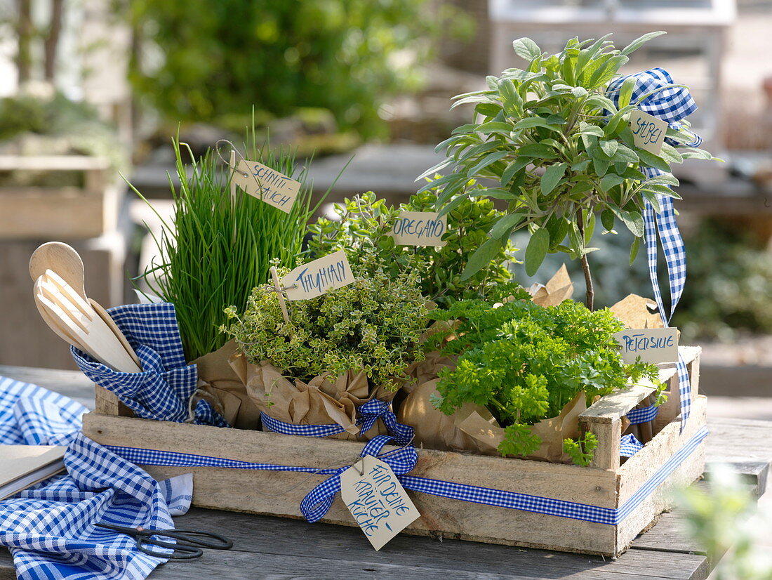 Fruit box with herbs as a gift