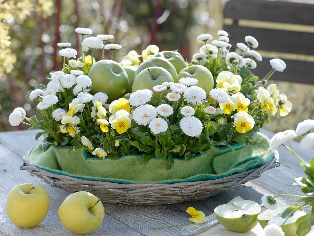 Basket with 'Granny Smith' and 'Golden Delicious' apples (Malus)