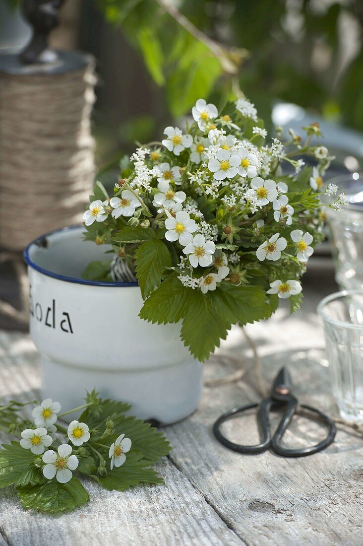 Kleiner Strauß aus Fragaria (Walderdbeere) und Waldmeister