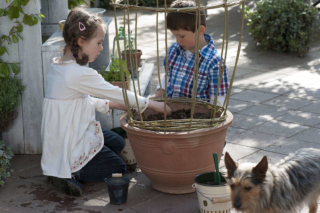 Children sowing fire beans in terracotta pots