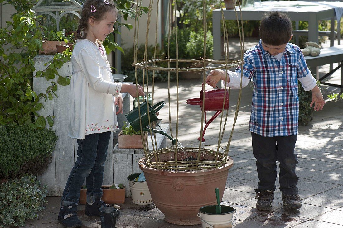 Children sowing fire beans in terracotta buckets