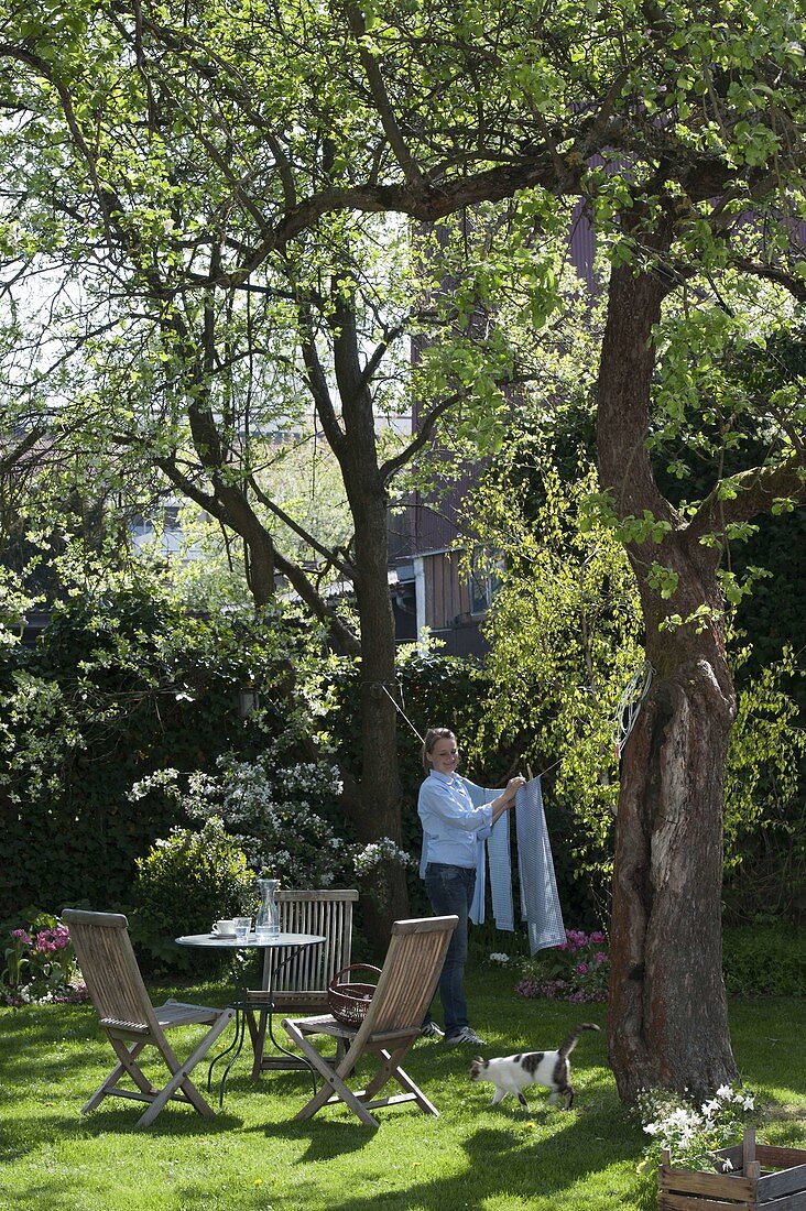 Schattengarten unter großen Bäumen