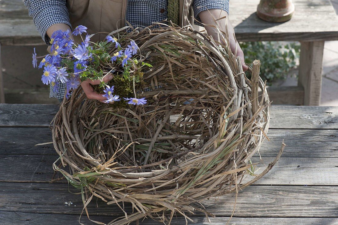 Basket of dried clematis vines (5/7)