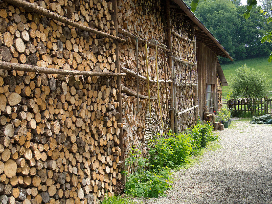 Gefüllter Holzschuppen im Sommer