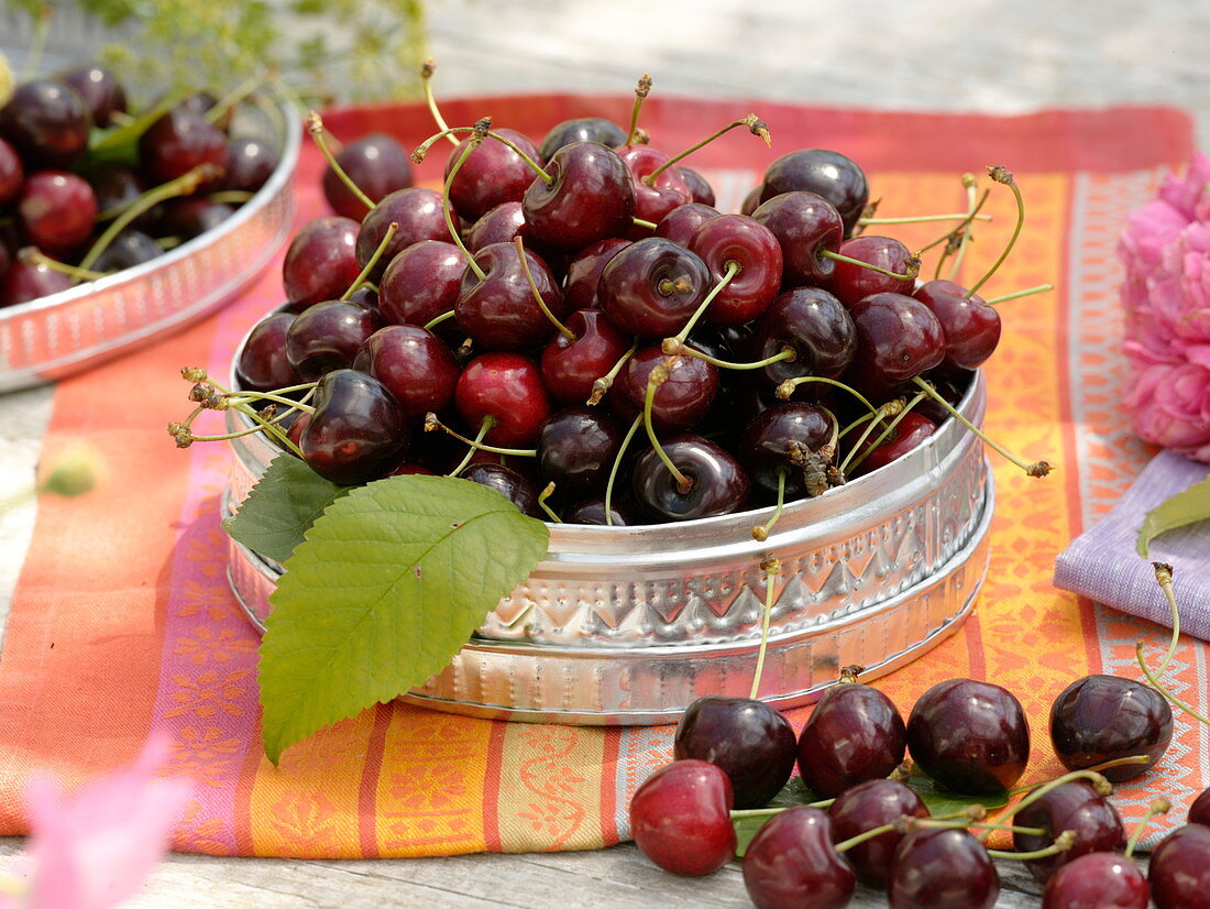 Sweet cherries (Prunus avium) in silver box