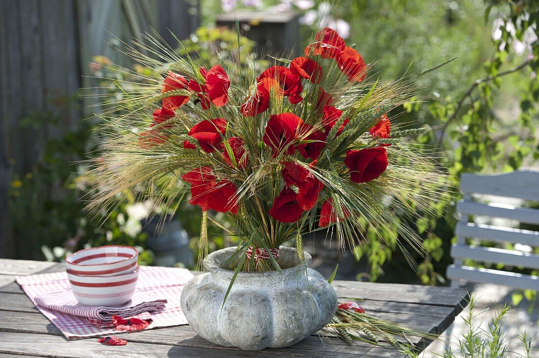 Standing bouquet of Papaver rhoeas (corn poppy) and barley (Hordeum)