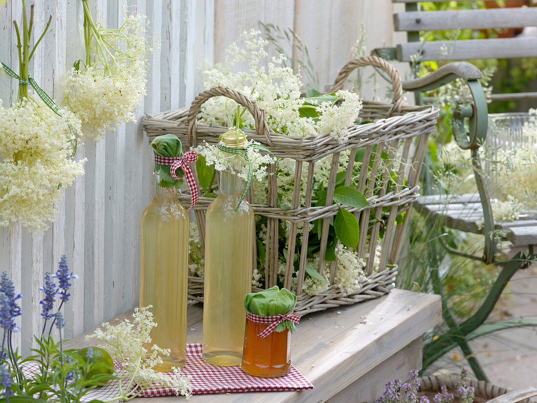 Bottles with syrup of elderberry blossoms (Sambucus nigra) and jar