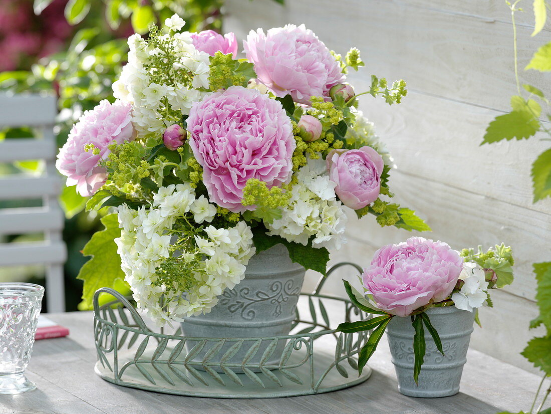 Frühsommerstrauß aus Paeonia (Pfingstrosen), Hydrangea quercifolia