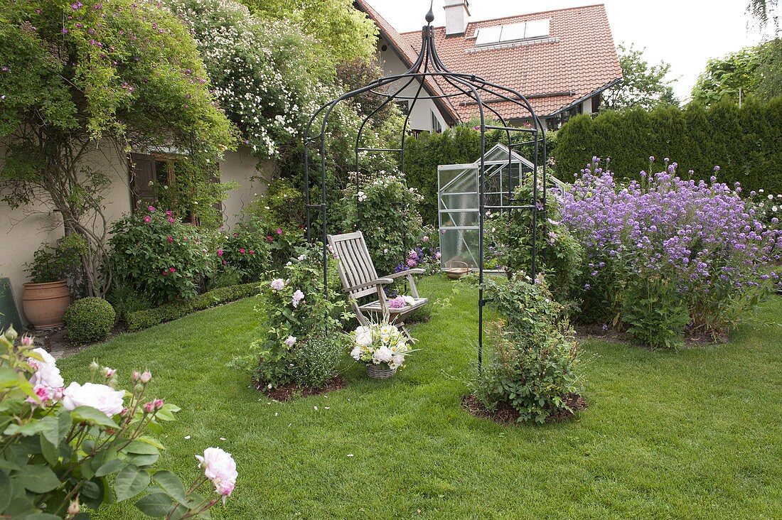 View over lawn with metal pavilion, corners planted with Rosa (roses)