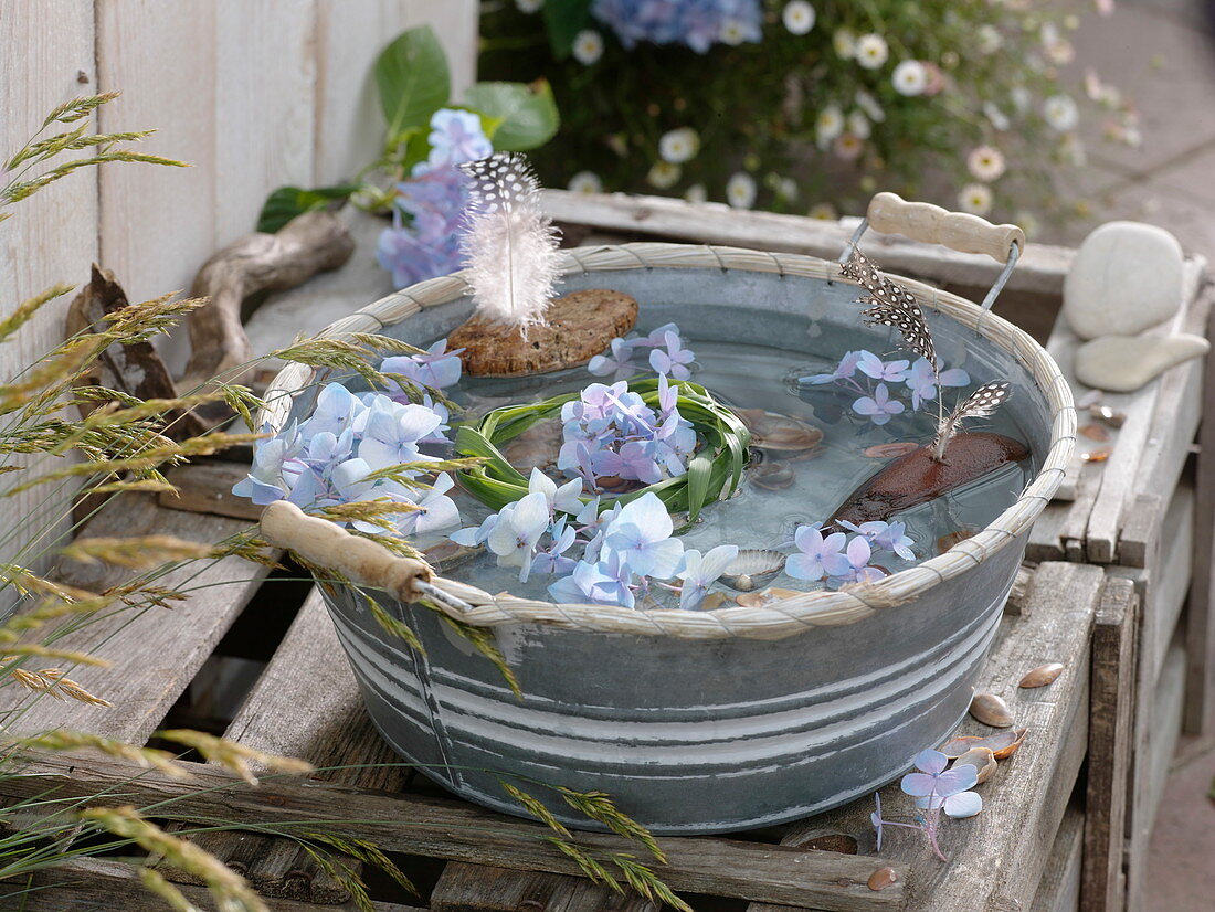 Maritime decoration in zinc bowl