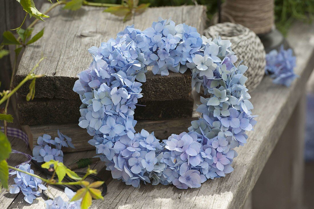 Wreath of hydrangea (hydrangea) leaning against boards