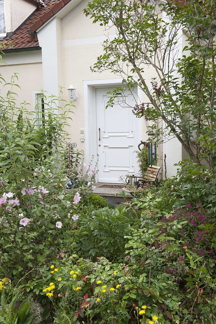 View over shrub bed to the house entrance