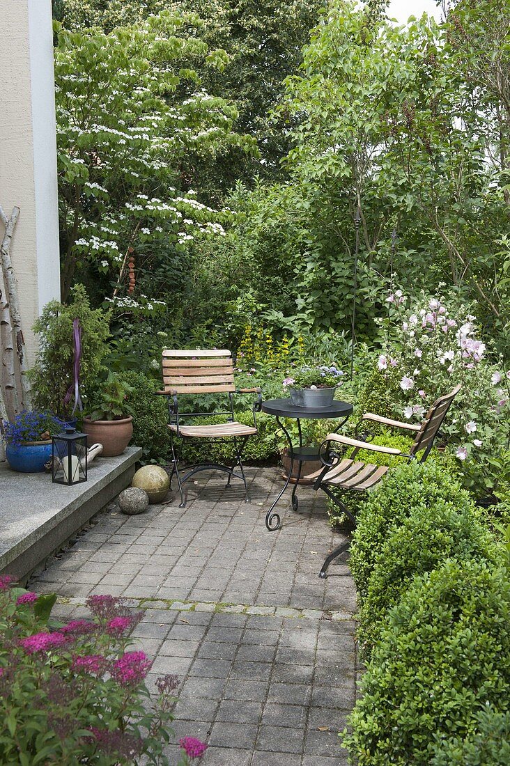 Sitzplatz am Hauseingang vor Cornus kousa (Blumenhartriegel)