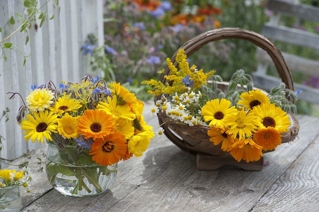 Calendula (marigolds), Borage (Borago), Dill (Anethum), Camomile