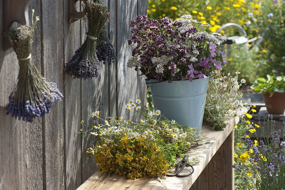 Bouquets of herbs on a wooden bench