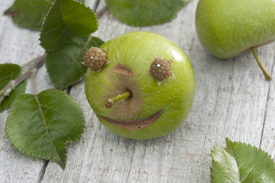 Green apple (Malus) with face