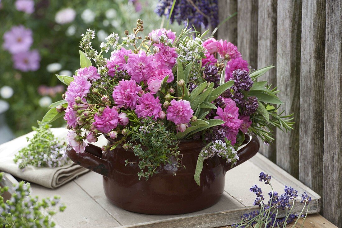 Provencal herb pot with Rosa (roses), lemon thyme