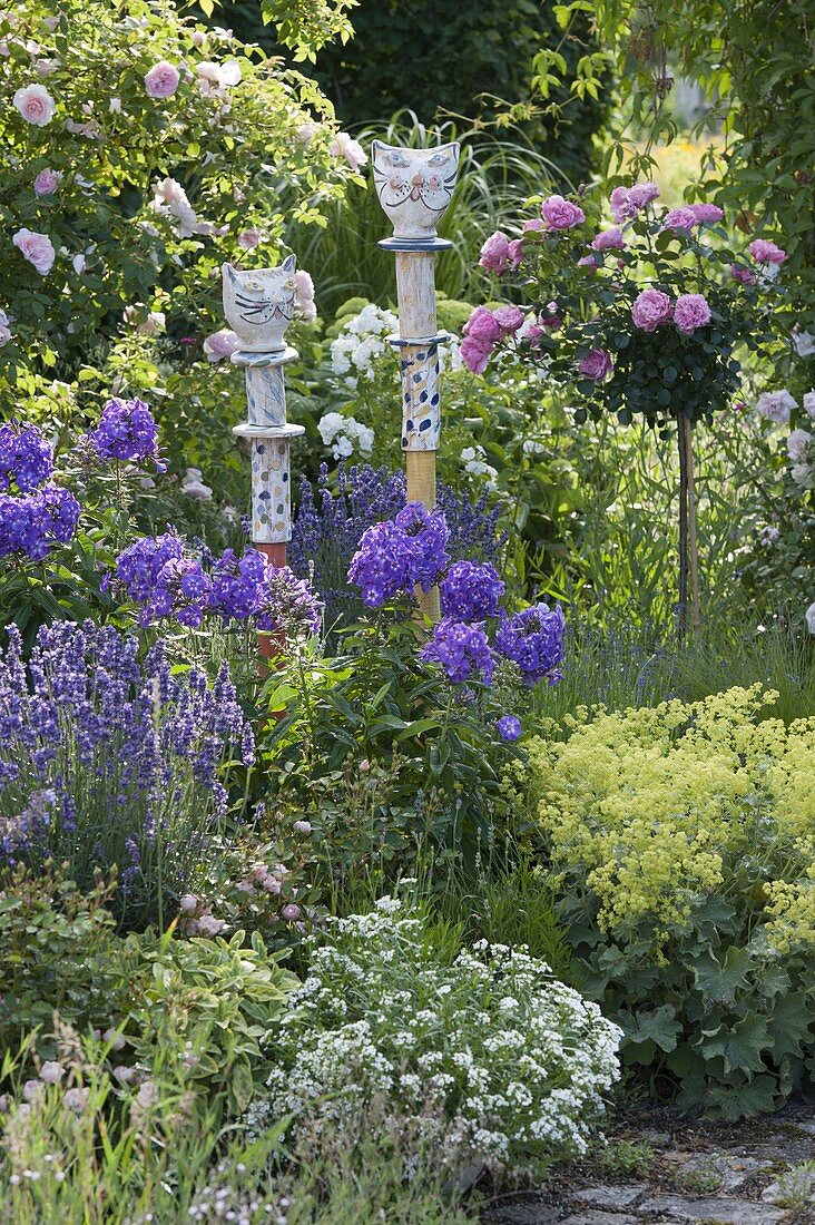 Potted cats as decorative plugs on wooden posts, phlox (flame flowers)