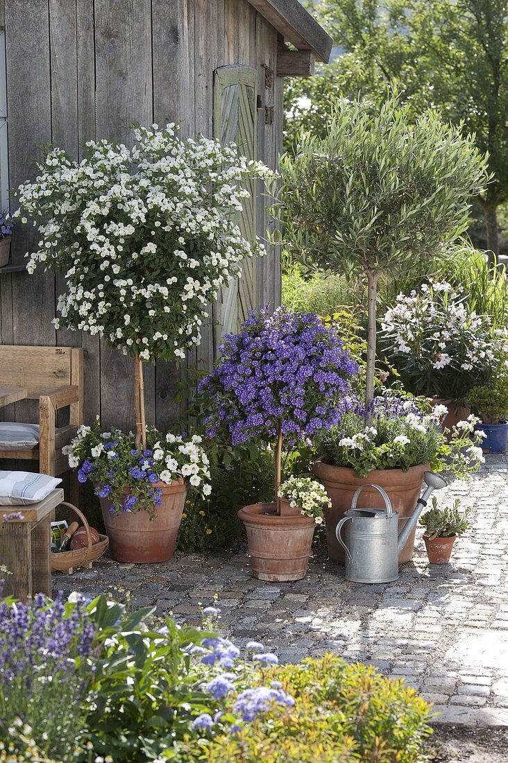 Terrace with potted plants at the garden house