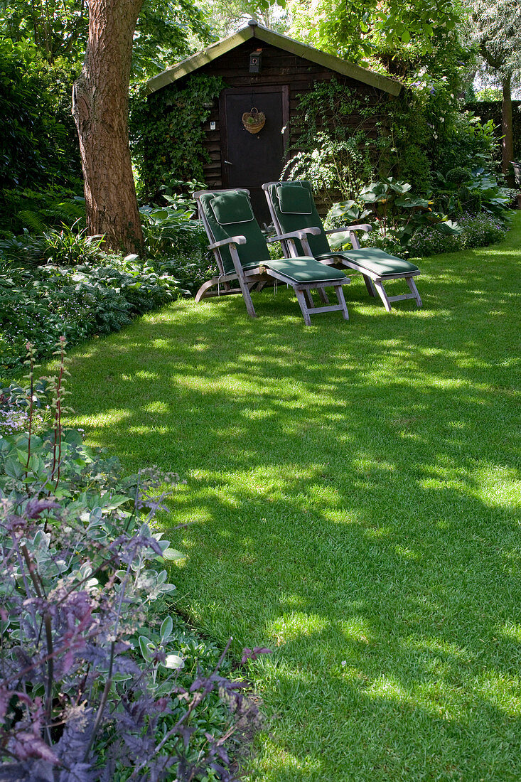Lying in the shade under a large tree, garden house, beds with shade perennials