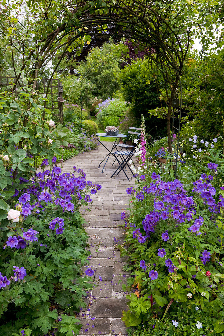 Geranium x magnificum (cranesbill), Rosa (roses) and Digitalis (foxglove) by the path, view of small terrace with table and chairs