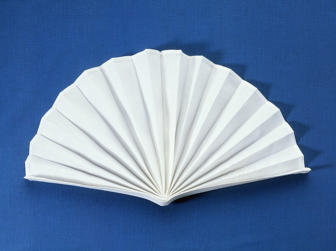 A White Cloth Napkin Folded Like a Fan