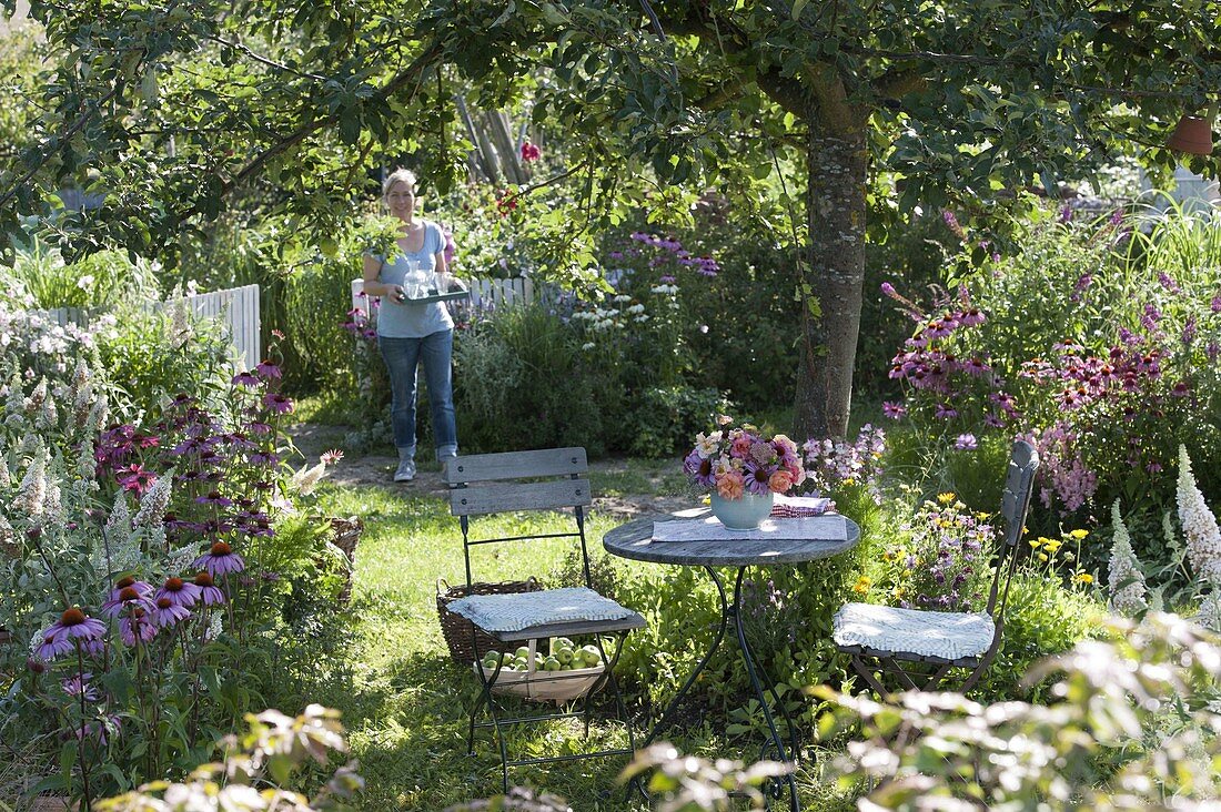 Shady seat under the apple tree