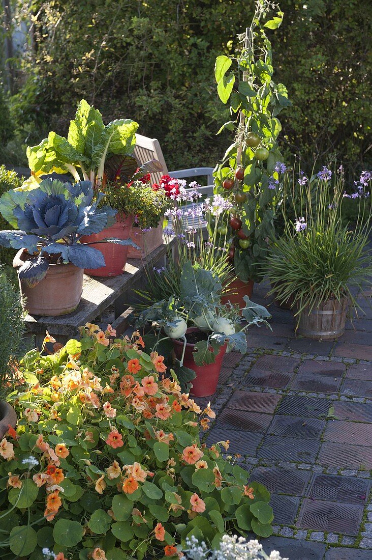 Snack terrace with herbs and vegetables