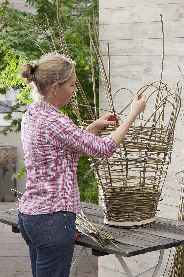 Make your own wicker basket for climbing plants (11/17)