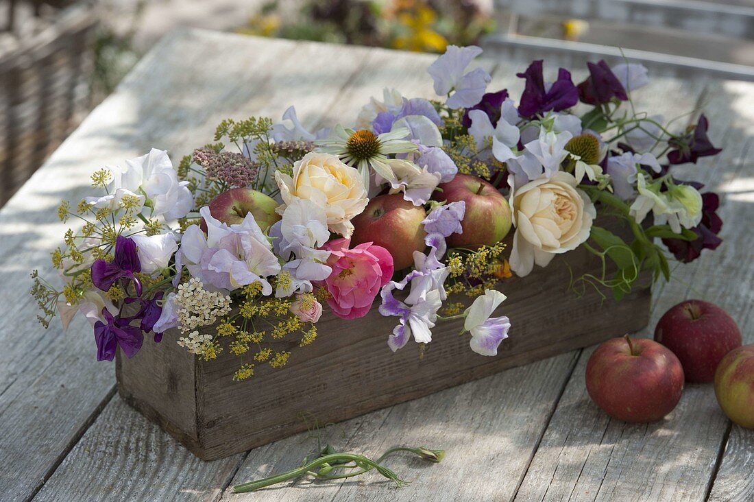 Scented arrangement with apples (Malus), fennel (Foeniculum), Lathyrus