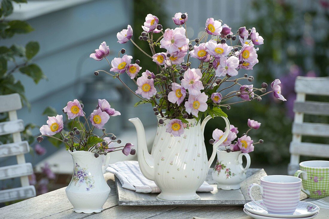 Anemone hupehensis (autumn anemone) in grandma's porcelain pots