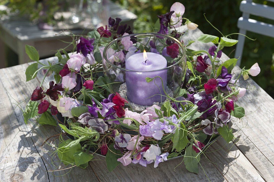 Scented wreath of Lathyrus odoratus (sweet pea)