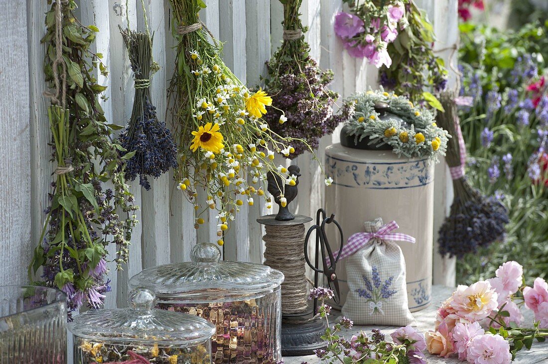 Herbal bouquets for drying, Holy Basil, Tulsi