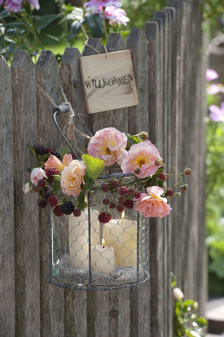 Glass in wire basket as lantern with blackberry vine and pink