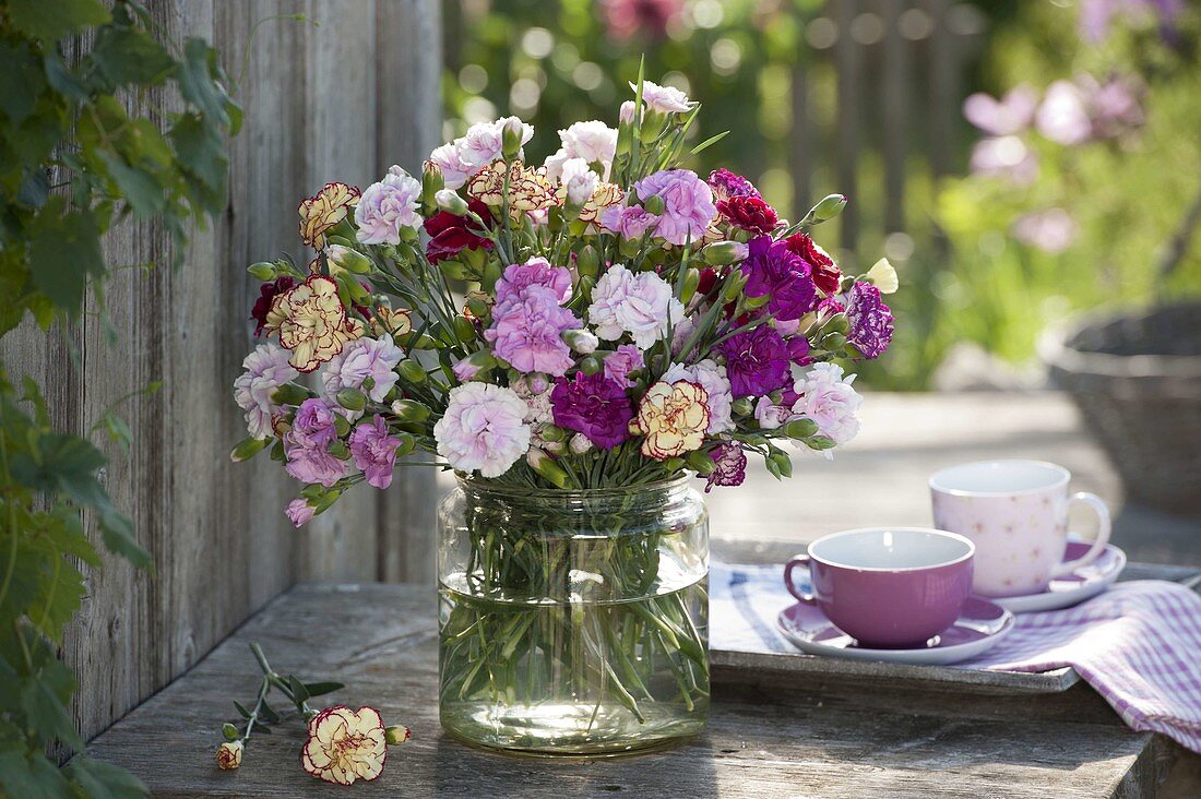 Mixed bouquet of Dianthus (carnations) in glass vase