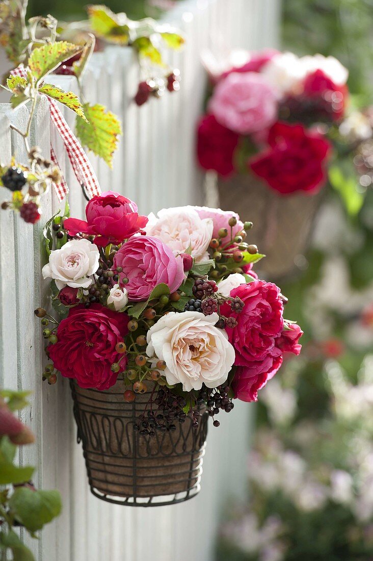 Bouquet of pink (roses), rose hips and elderberries (Sambucus nigra)