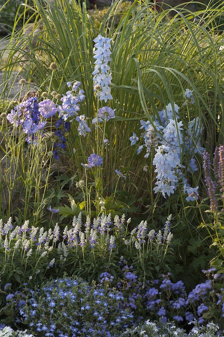 Blue and white bed by the fence