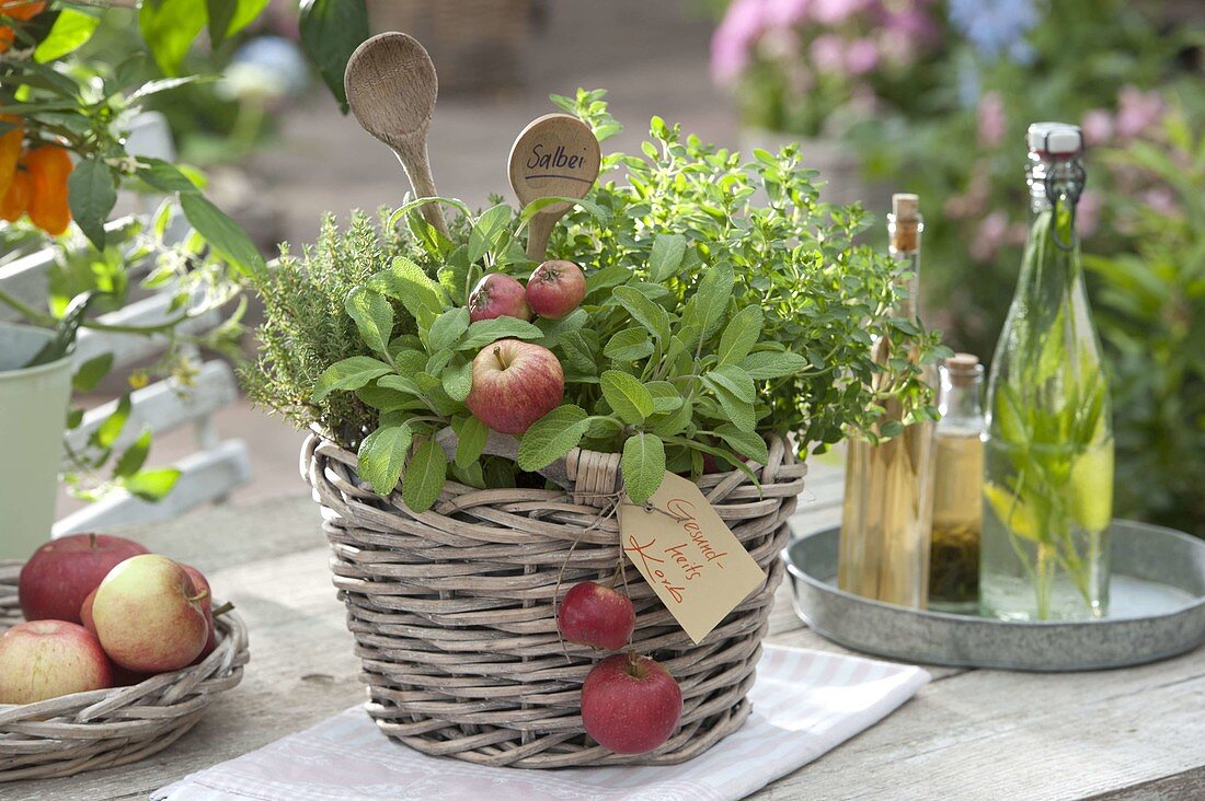 Planting herb basket 4/4