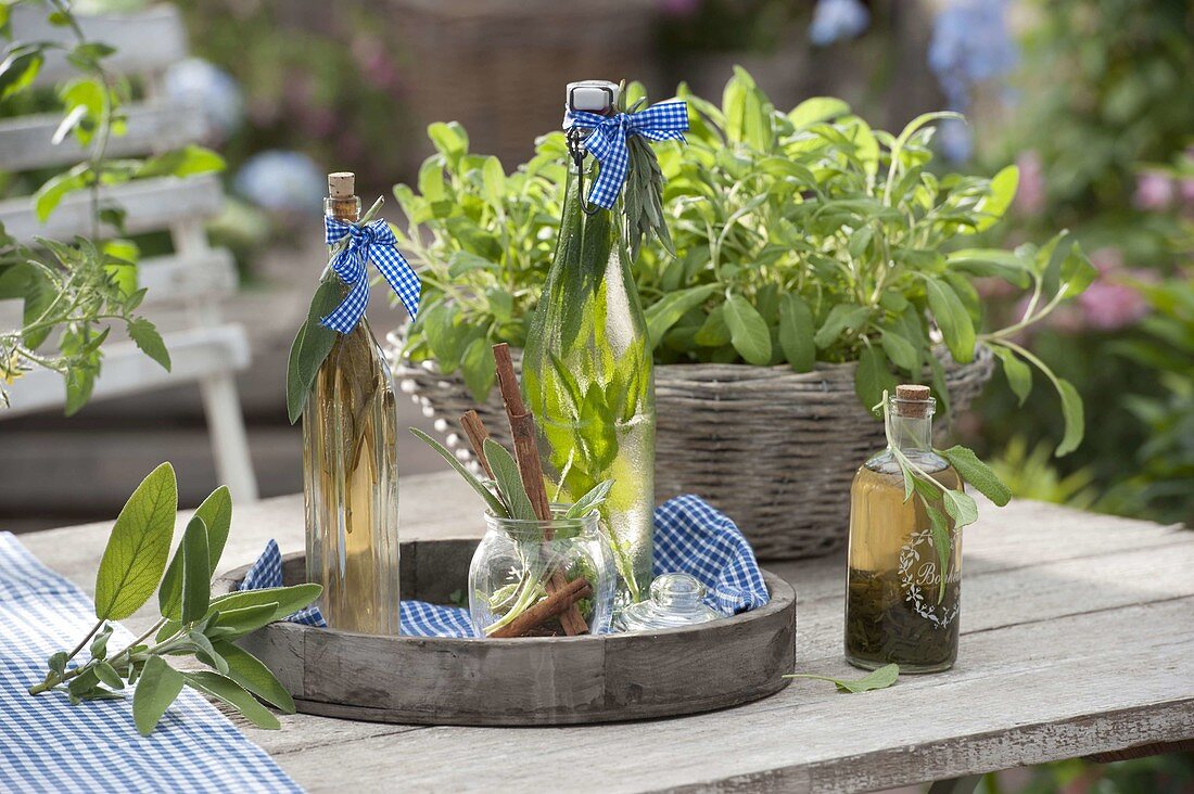 Planting sage basket 5/5