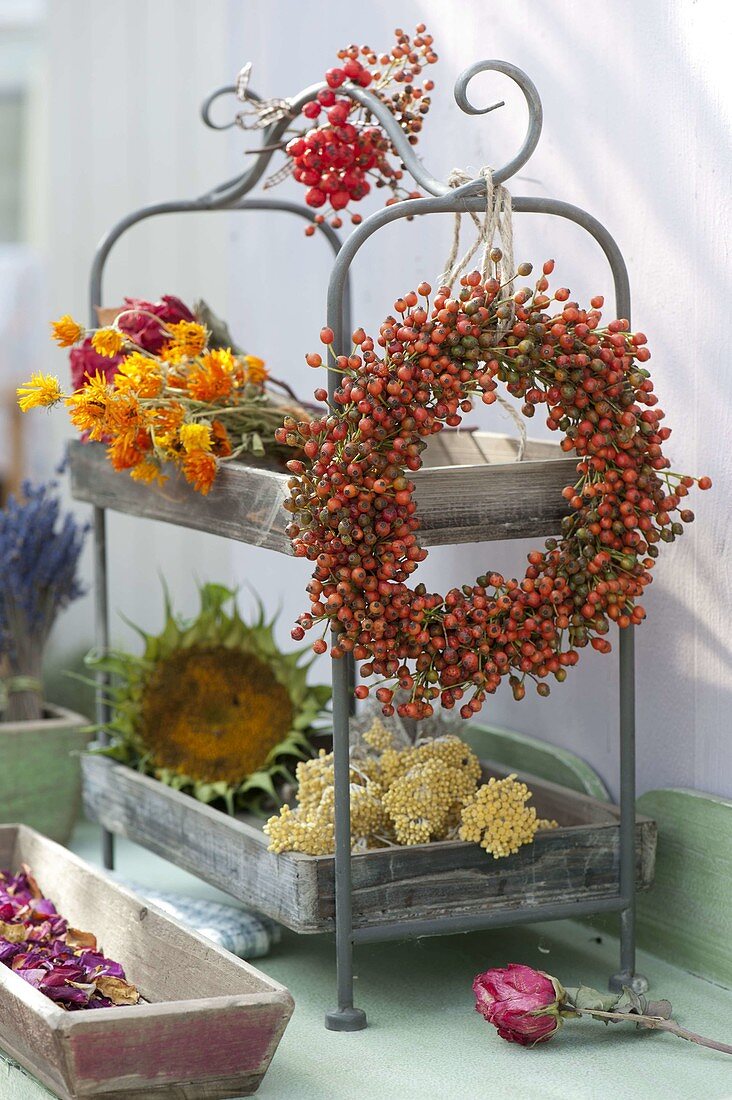 Wreath of pink (rose hips) hung on shelf