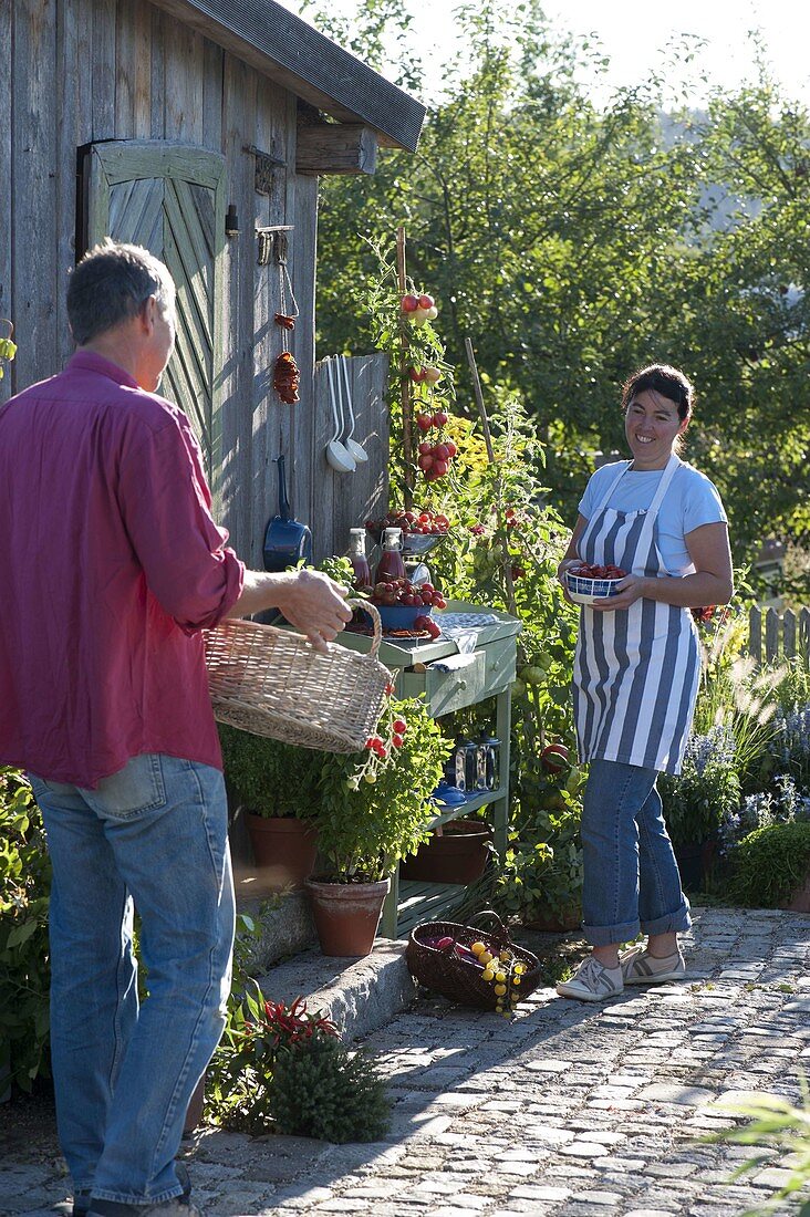 Processing tomatoes in the outdoor kitchen