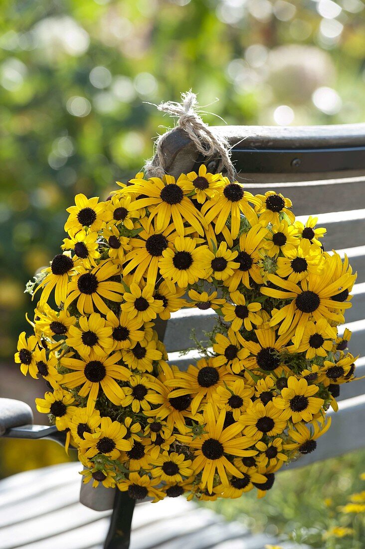 Wreath of Rudbeckia fulgida (coneflower) on the back of a chair