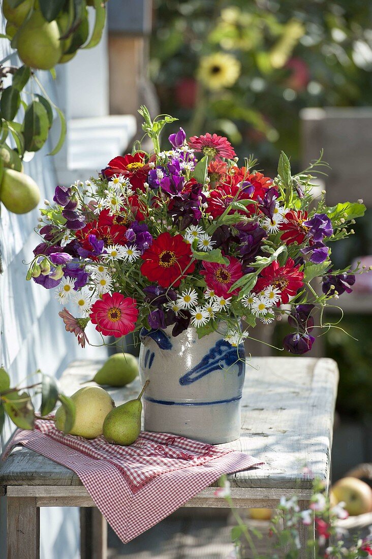 Bouquet of Zinnia (Zinnias), Lathyrus odoratus (sweet pea) and Aster (autumn asters)