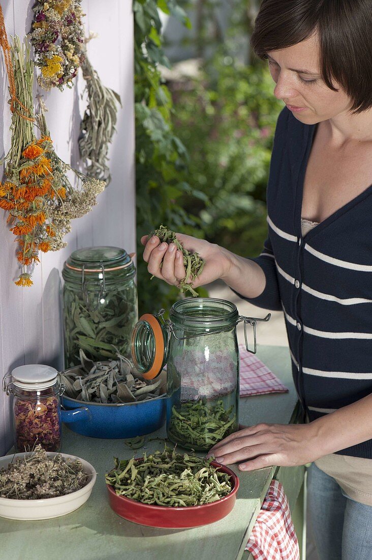 Prepare dried tea herbs and put them in cans and glasses