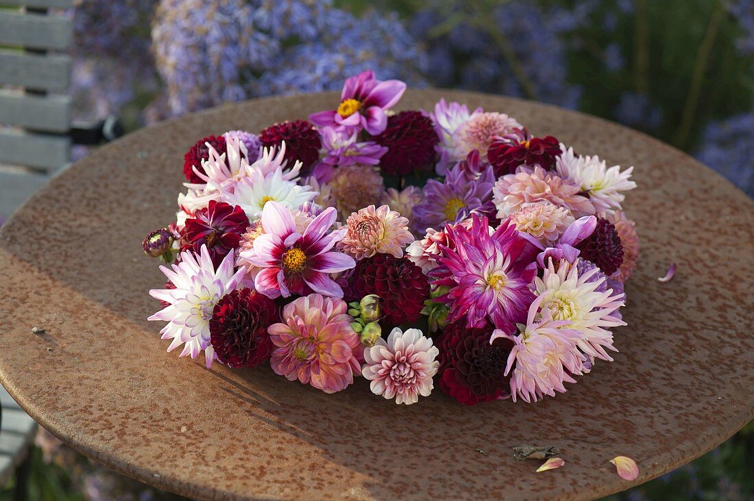 Wreath of dahlia (dahlias) on a grate table