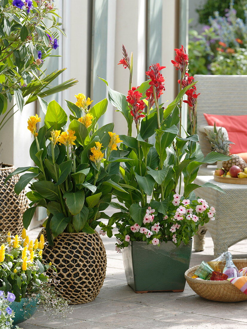 Tropische Terrasse