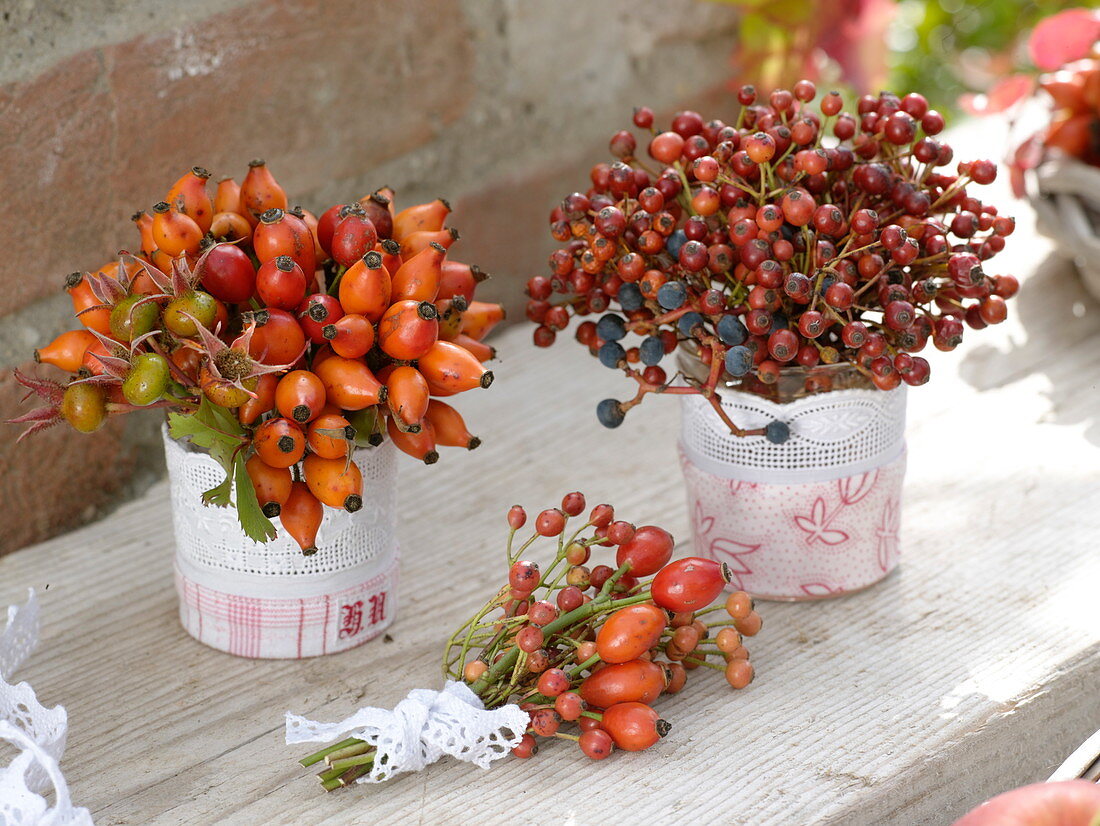 Kleine Sträuße aus Rosa (Hagebutten) und Beeren von Parthenocissus