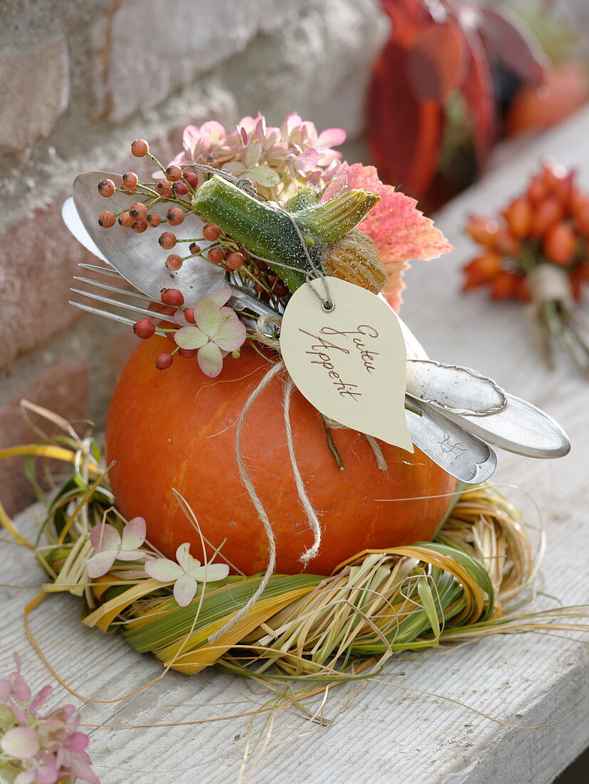 Hokkaido pumpkin as a gift