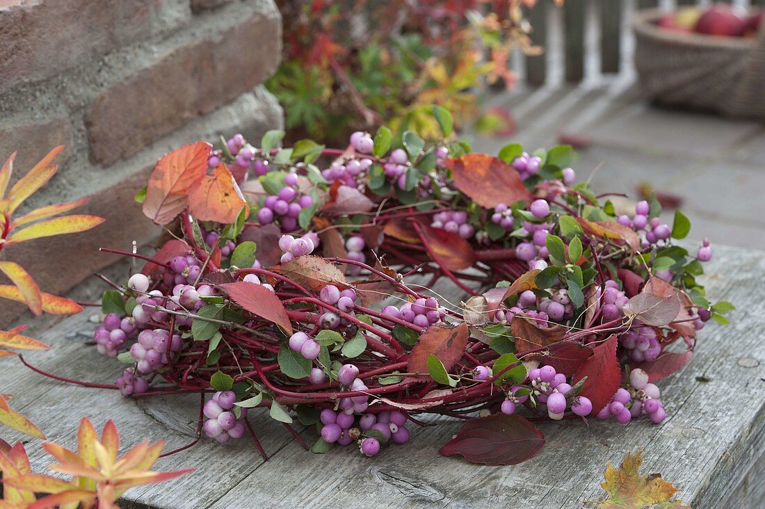 Herbstkranz aus Zweigen von Cornus (Hartriegel), Symphoricarpos